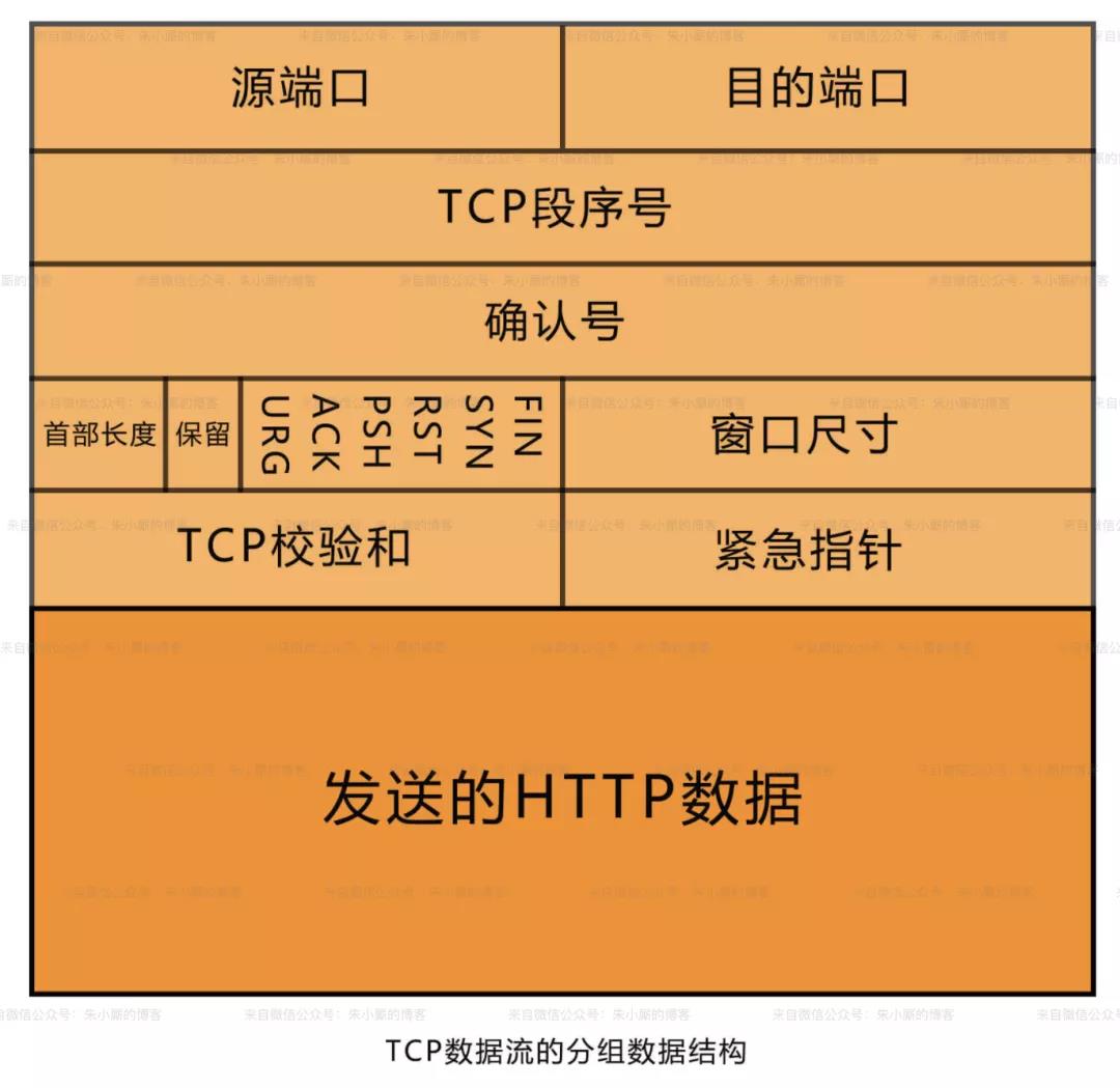 TCP数据流的分组数据结构