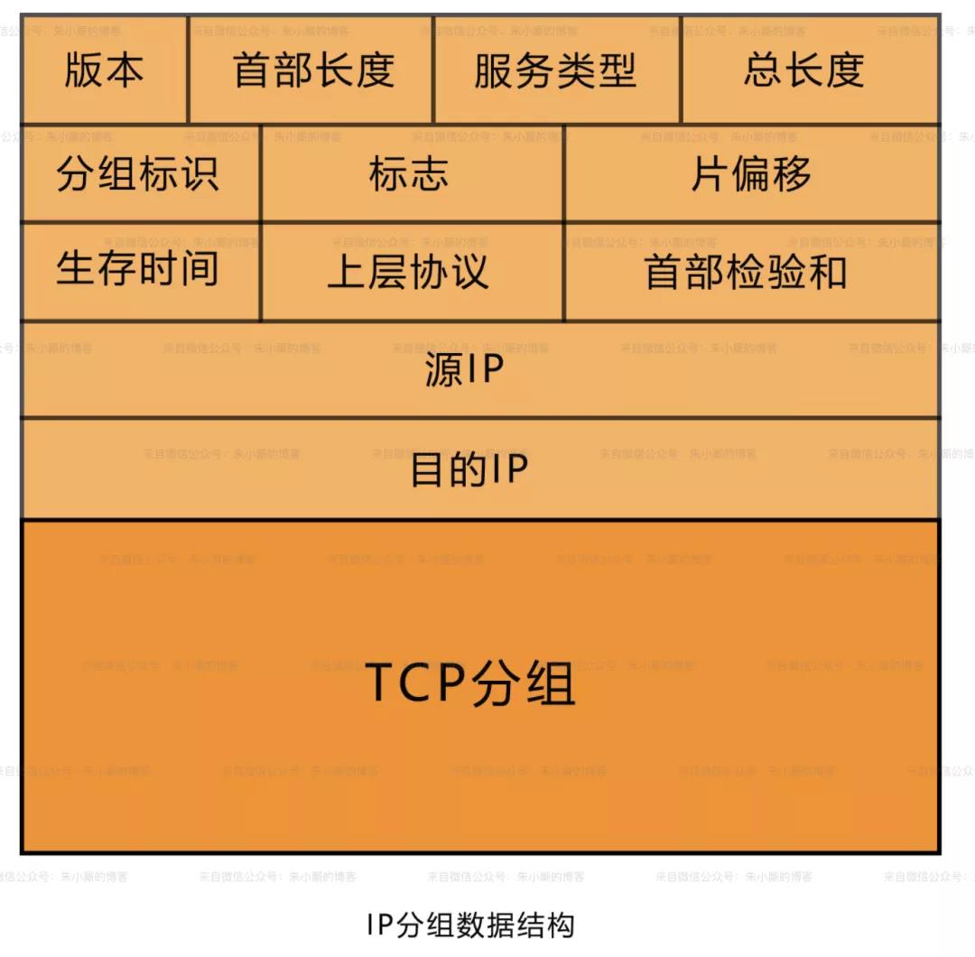 IP分组数据结构