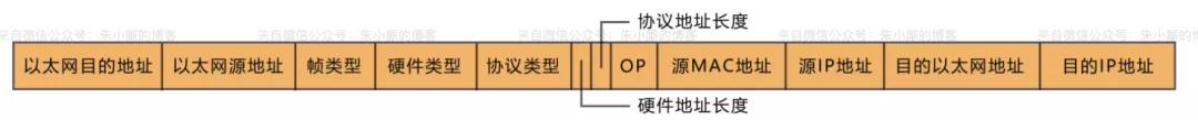 ARP分组格式