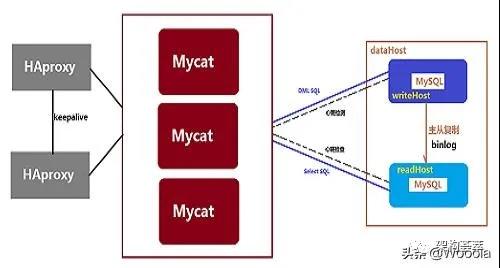 Mycat高可用架构图